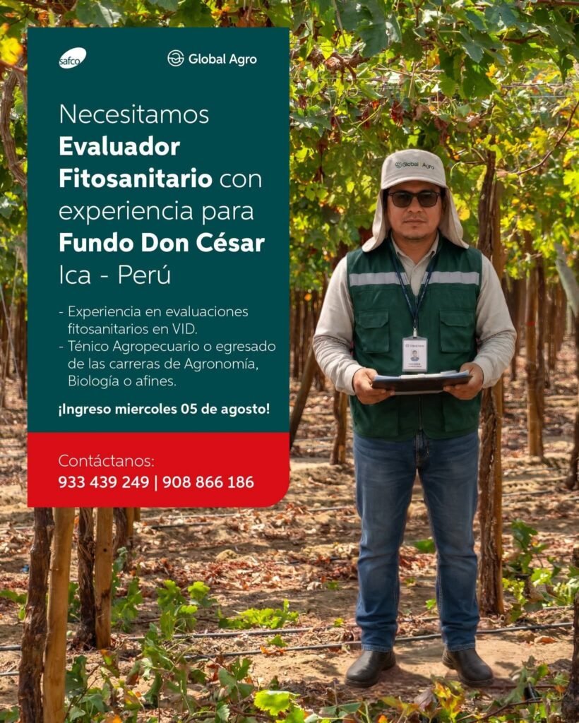 Evaluador Fitosanitario para Vid en Ica – Fundo Don César Safco | Convocatoria Laboral 2026