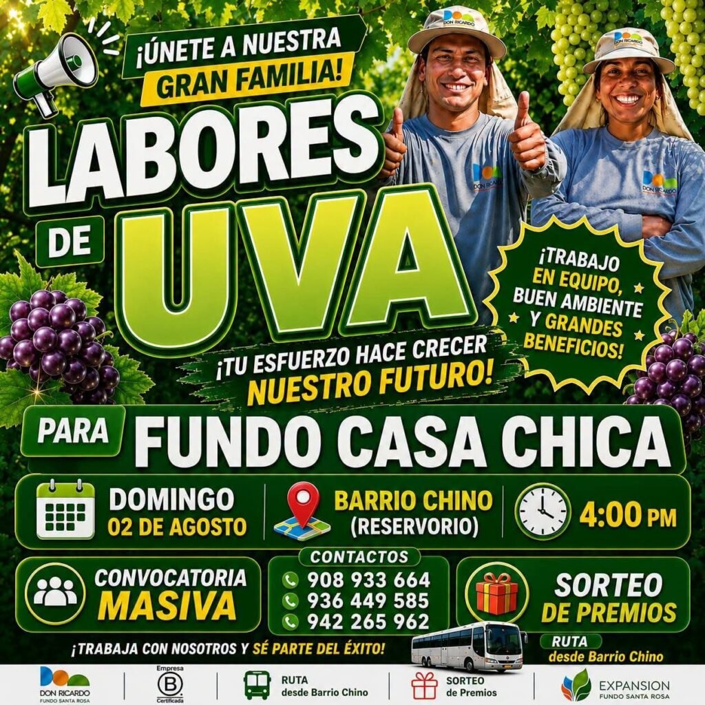 Trabajo para Labores de Uva en Fundo Casa Chica | Agrícola Don Ricardo | Ica