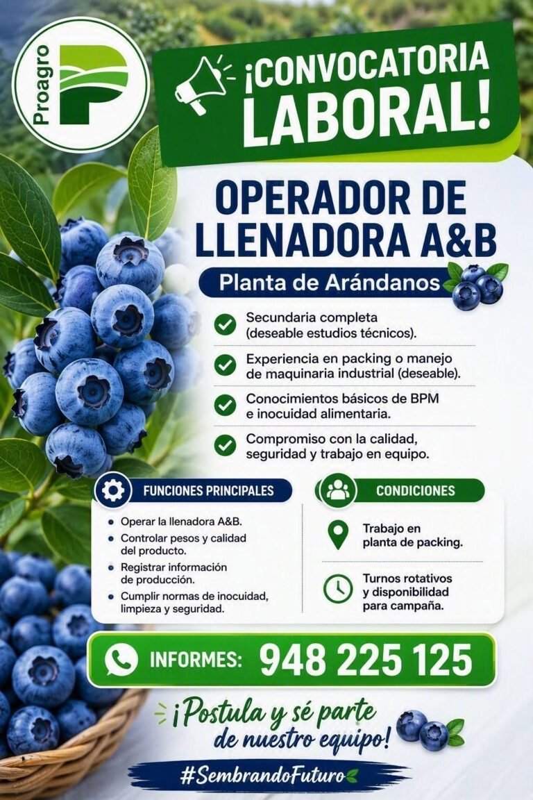 Operador de Llenadora A&B para arandanos