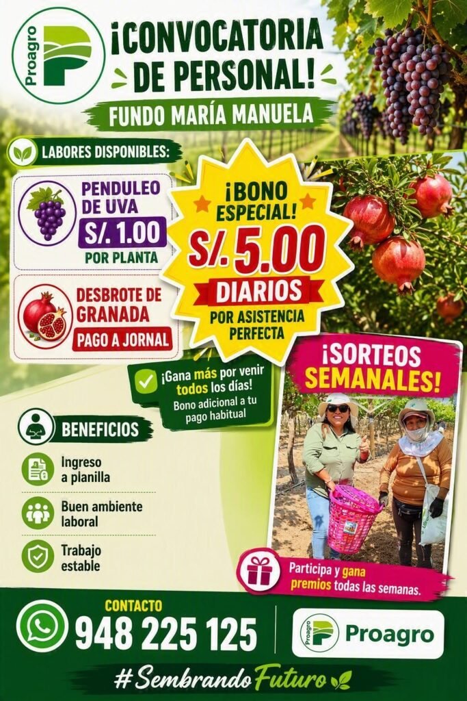Trabajos en Proagro Ica