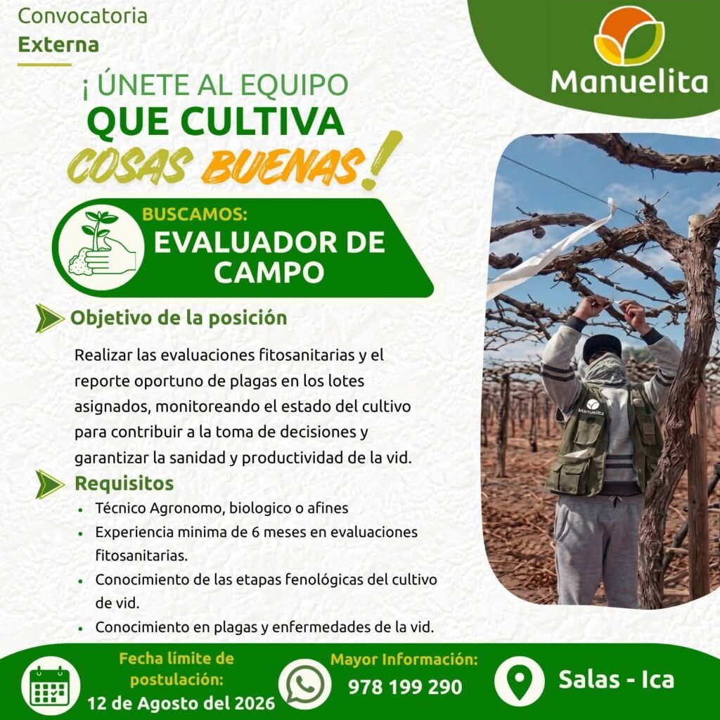 Trabajo en fundo manuelita Ica