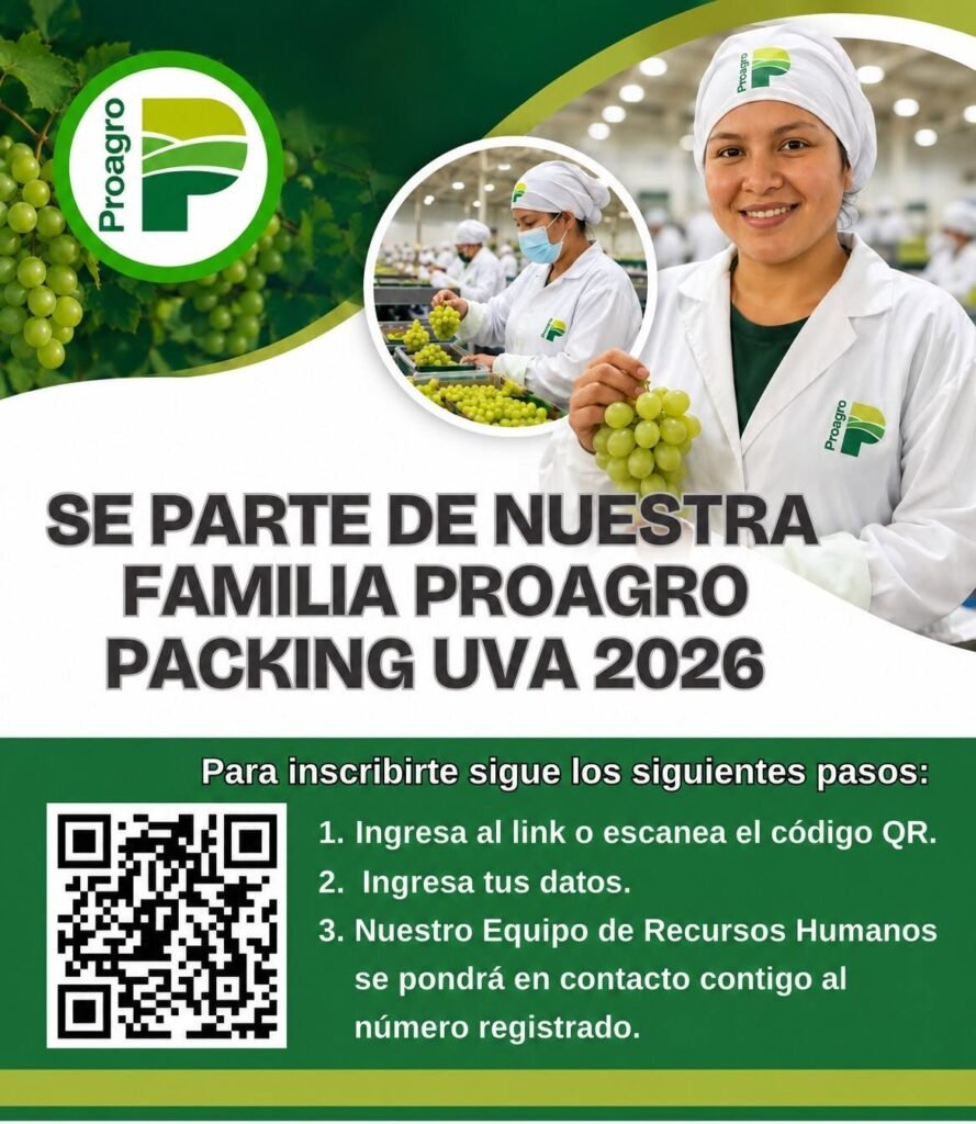 Convocatoria Packing – Campaña Uva 2026 para Piura – Proagro