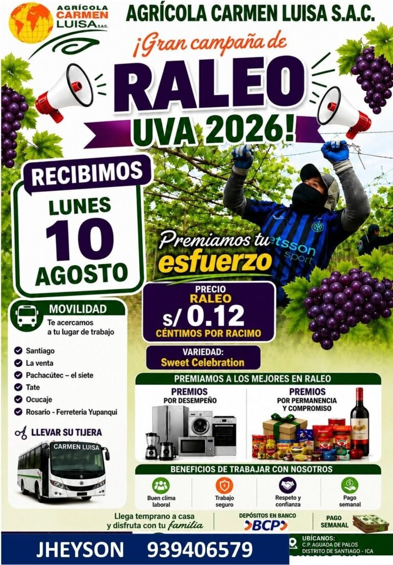 Agrícola Carmen Luisa busca personal para raleo de uva en Santiago, Ica
