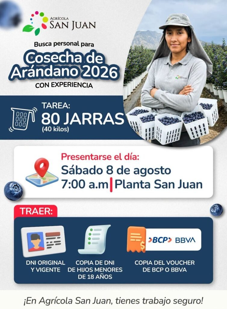 Campaña de cosecha de arandanos Agricola San Juan