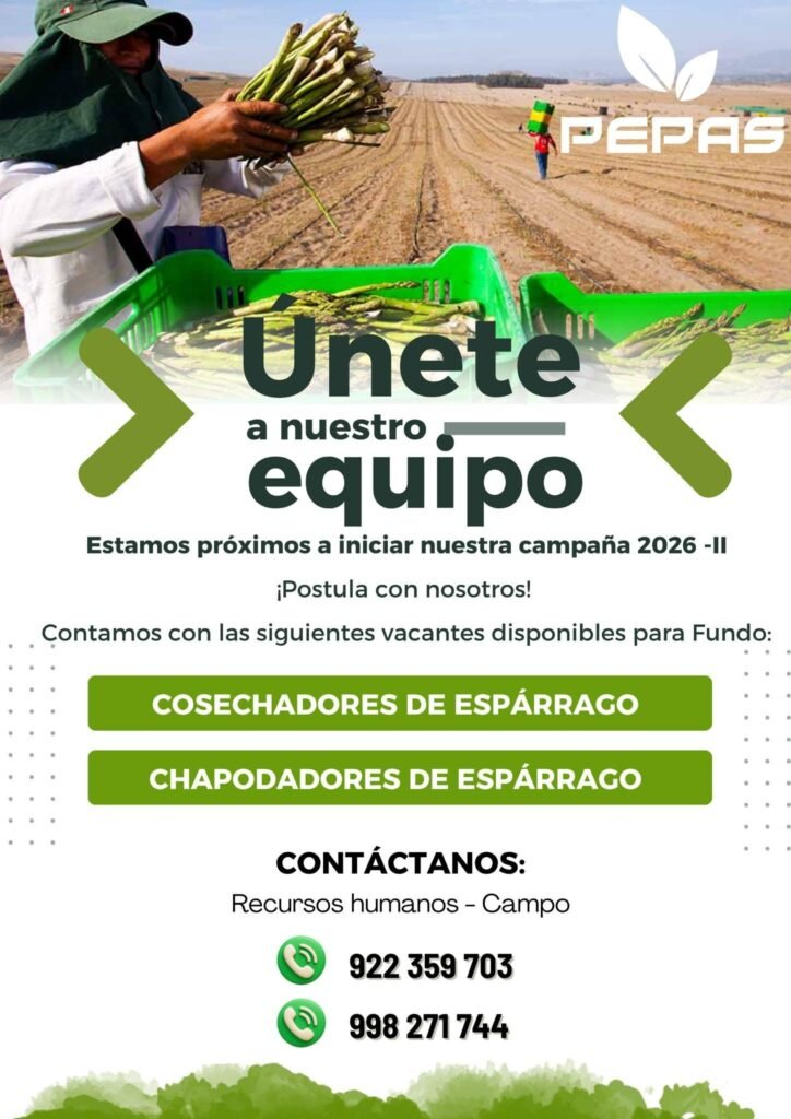 Campaña de Espárrago 2026-II: Convocatoria de Personal pepas tropicales