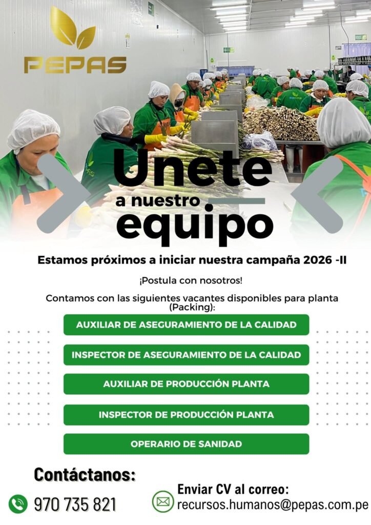 Campaña de Espárrago 2026-II: Convocatoria de Personal pepas tropicales - Imagen 2