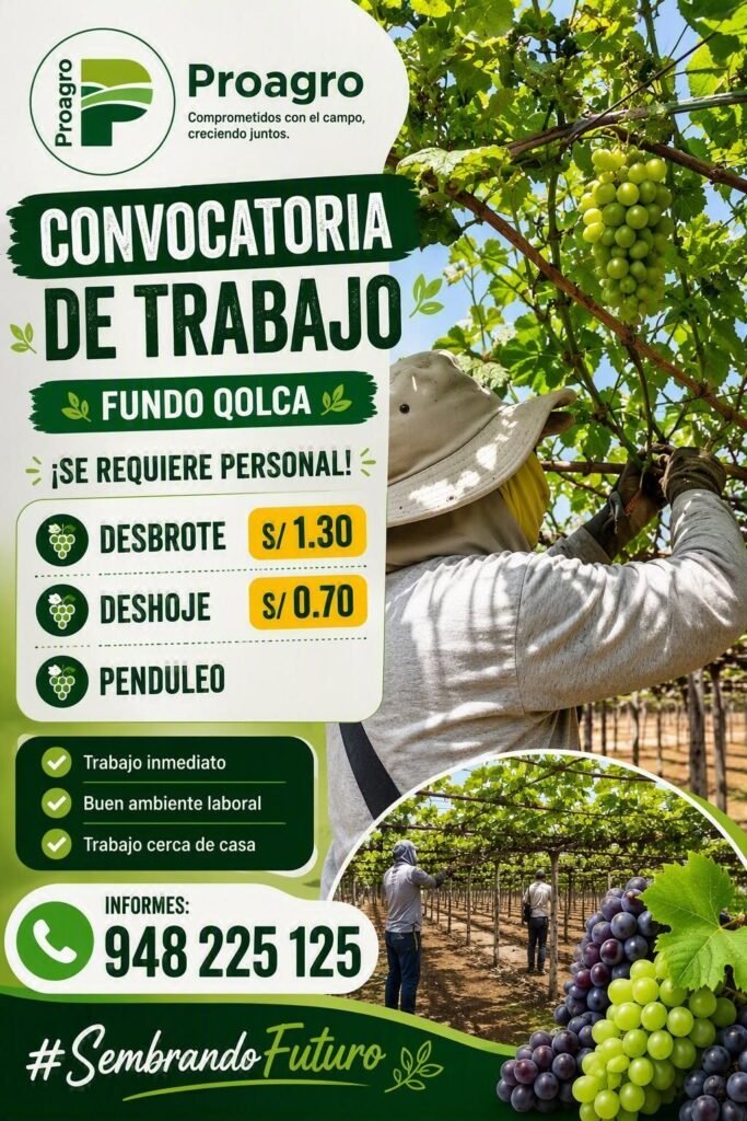 Trabajos en fundos de Ica Proagro