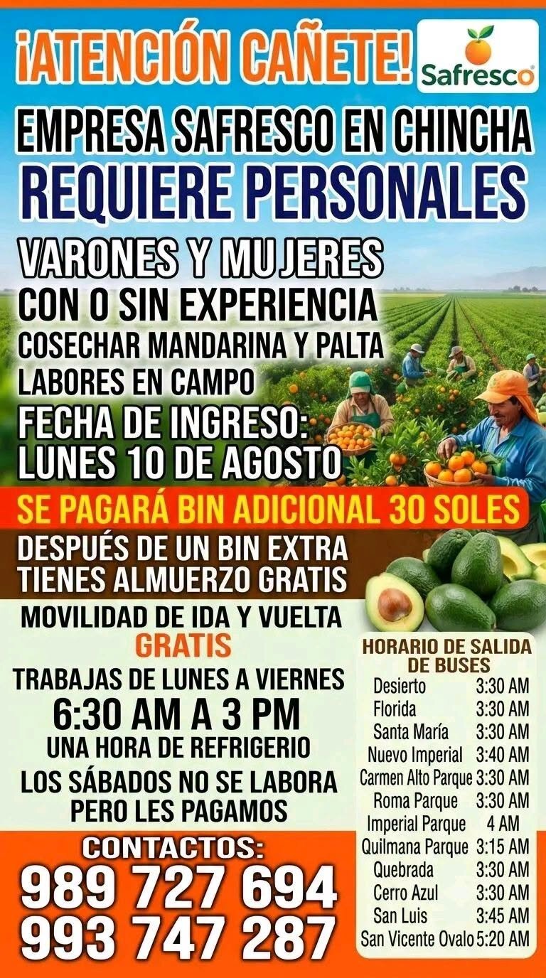 Safresco busca personal en Chincha para cosecha de mandarina y palta