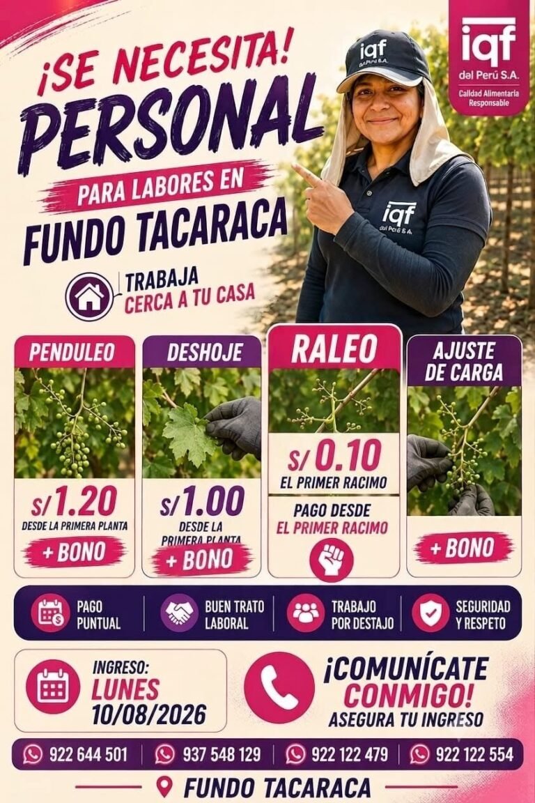 IQF busca personal para labores de uva en Fundo Tacaraca