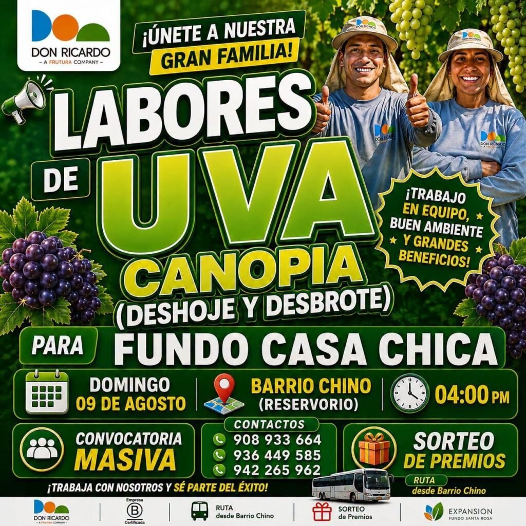 Trabajo en fundo don ricardo ica