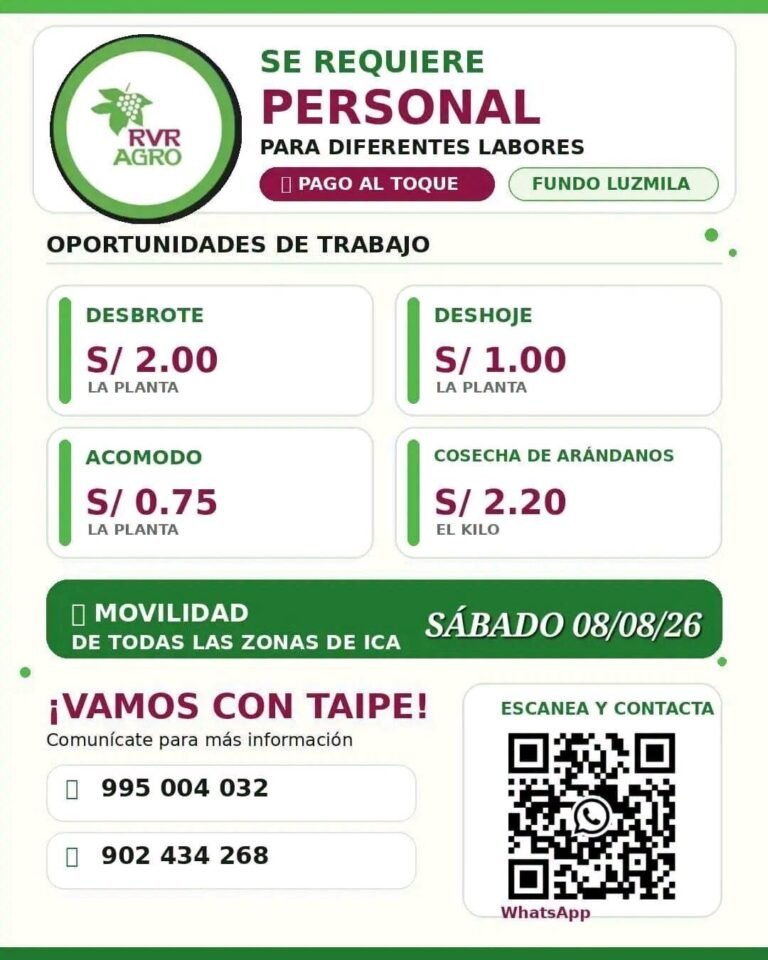 Se requiere personal para labores de uva