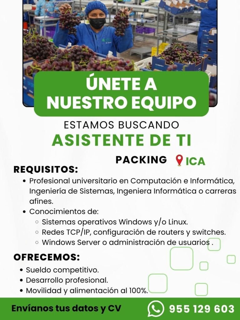 Jefe de frio y despacho en packing - Agricola 2m - Imagen 3