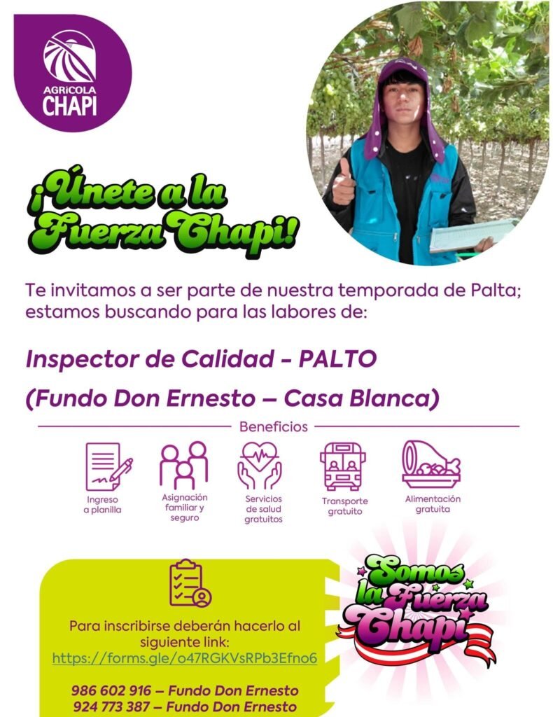 Asistente de Almacén e Inspector(a) de Calidad en Agricola Chapi - Imagen 2