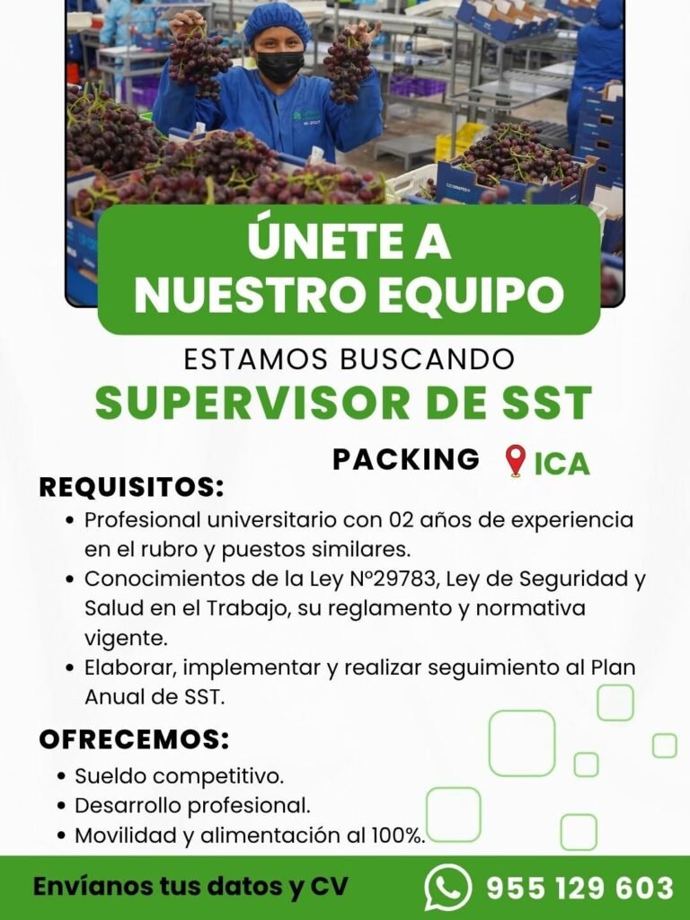 Jefe de frio y despacho en packing - Agricola 2m - Imagen 2