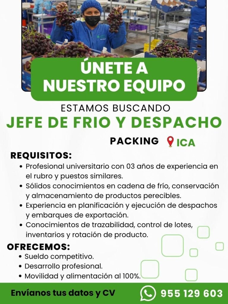 Jefe de frio y despacho en packing – Agricola 2m