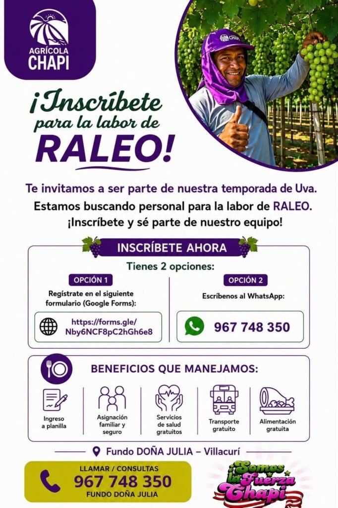 Unete a campaña de raleo en Fundo doña Julia en agricola Chapi