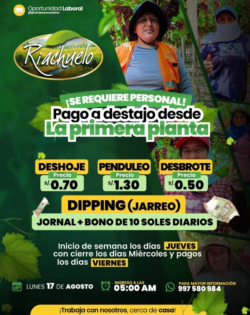Se requiere personal para labores de uva en Agricola Riachuelo