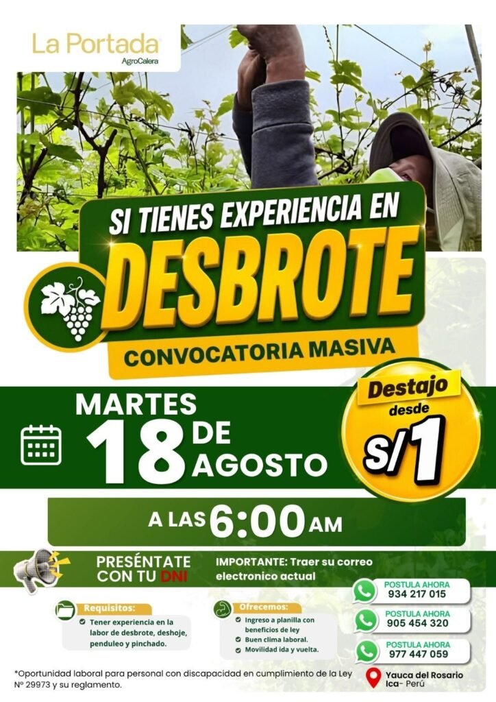 Se requiere personal para deshoje de uva en Agrocalera - Imagen 2