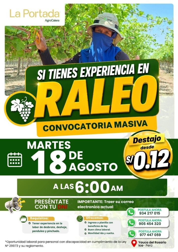 Se requiere personal para deshoje de uva en Agrocalera - Imagen 3