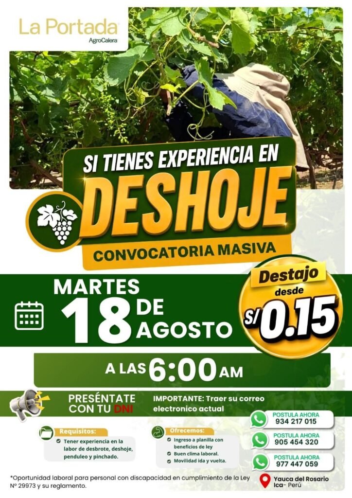 Se requiere personal para deshoje de uva en Agrocalera