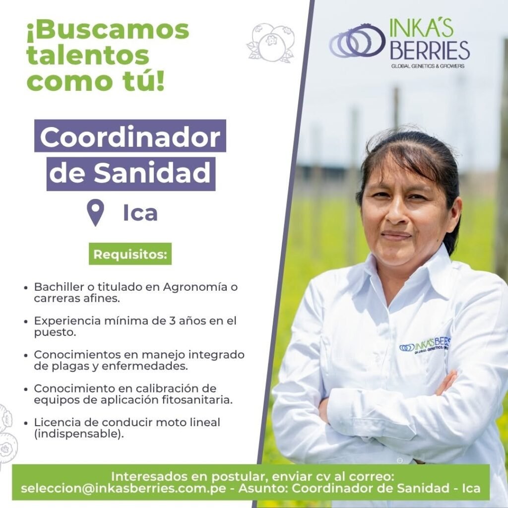 4 nuevas oportunidades en Inka Berries - Imagen 3