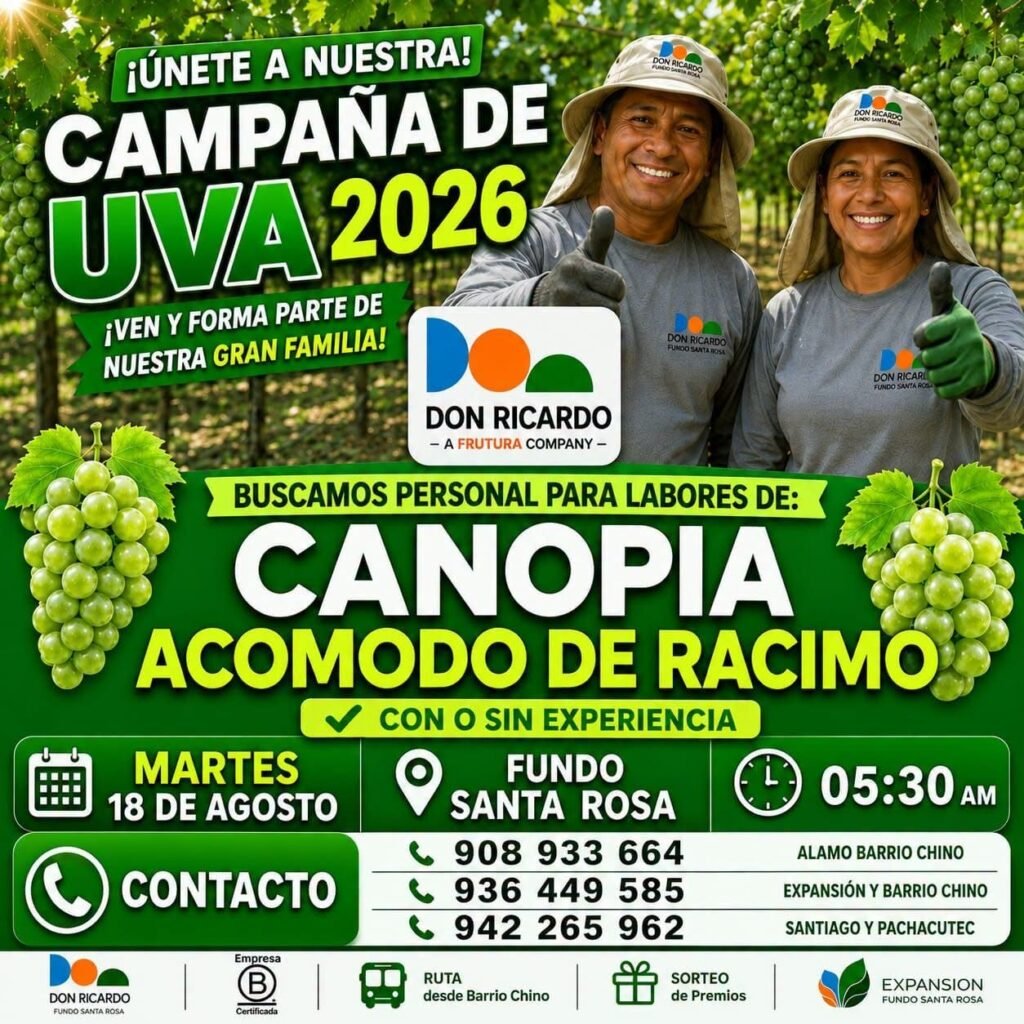 Personal para Canopia y acomodo de racimos en Agricola Don Ricardo