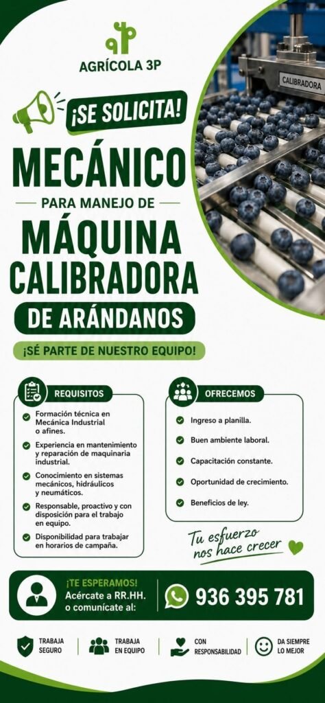 Mecanico para manejo de maquina calibradora de arandanos