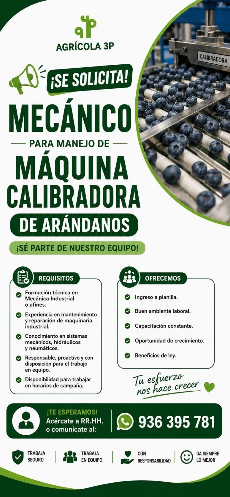 Mecanico para manejo de maquina calibradora de arandanos