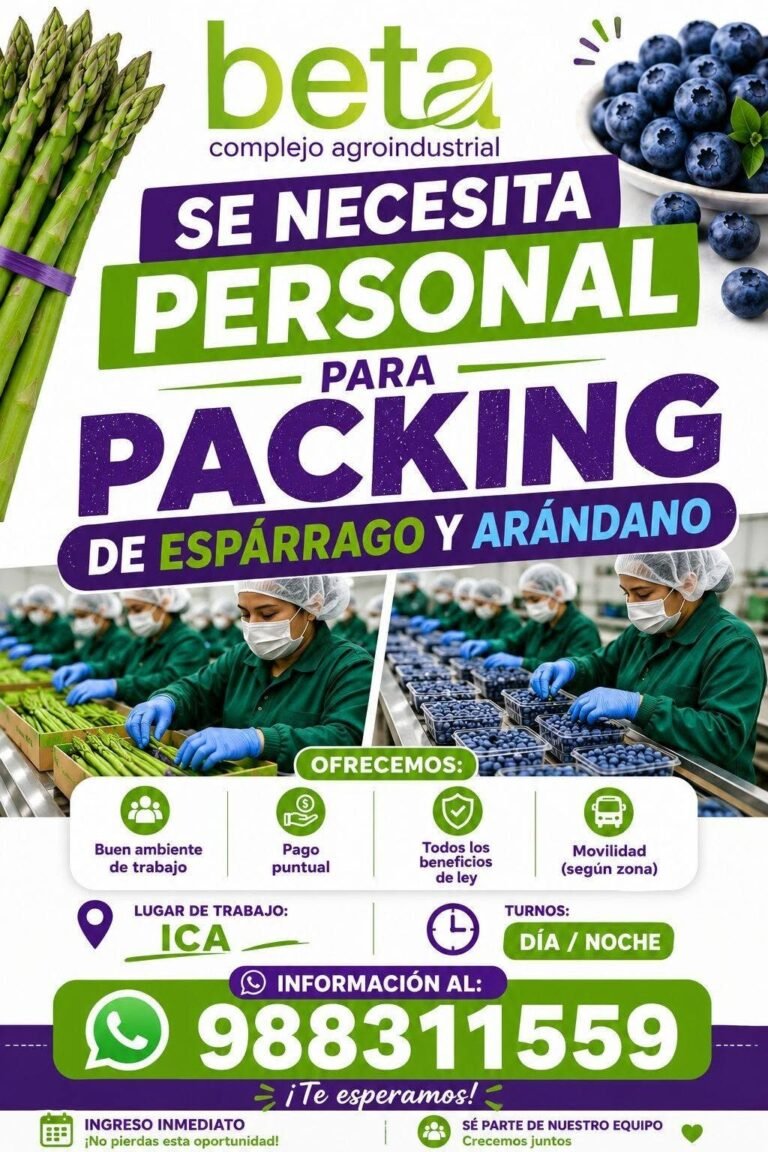 Personal para Packing de arandanos y esparragos en Beta