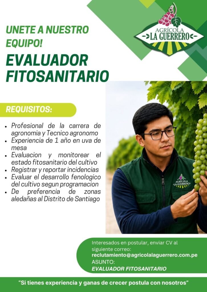 Evaluador Fitosanitario para uva de mesa en Santiago, Ica