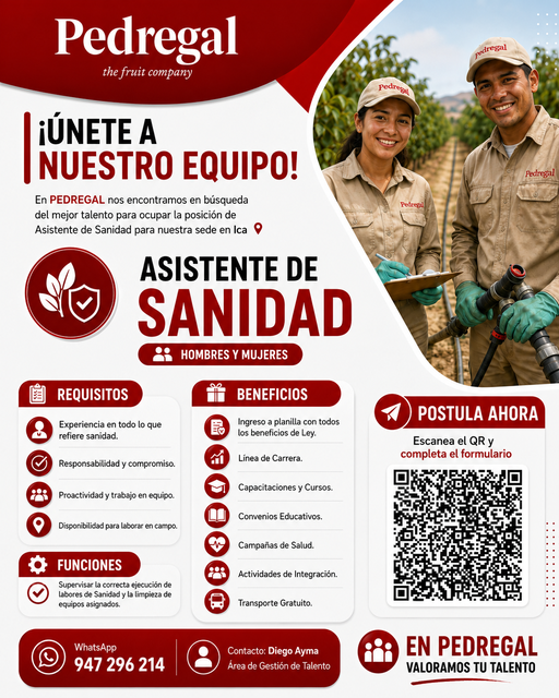 Asistente de sanidad - Imagen 1
