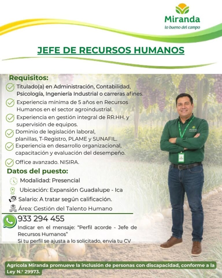 Jefe de recursos Humanos