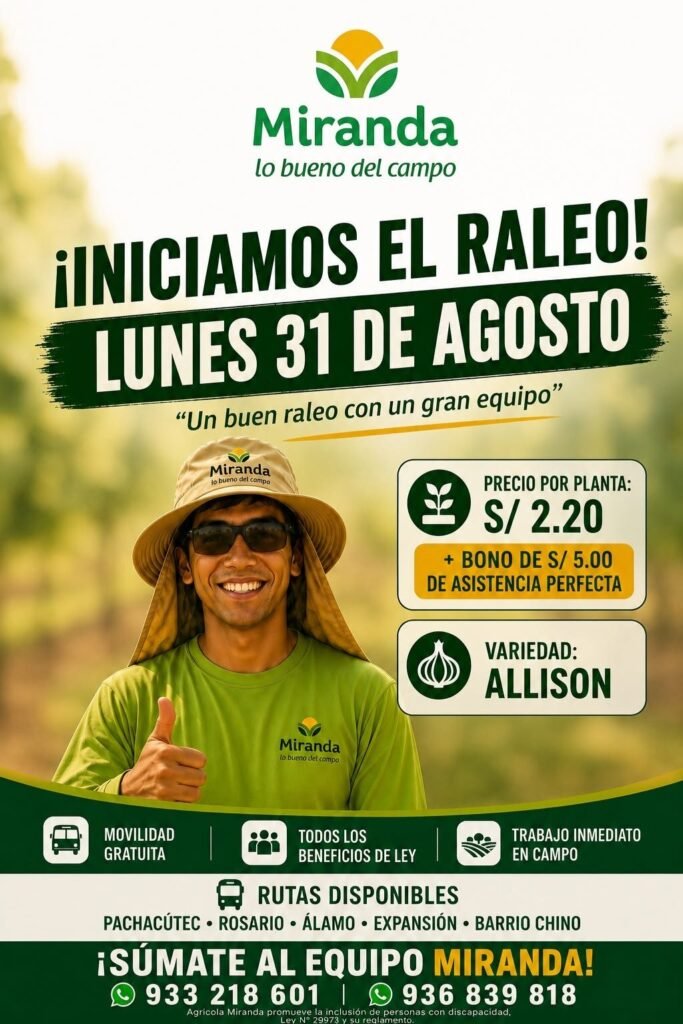 Personal para raleo de uva en Agrícola Miranda - Imagen 1