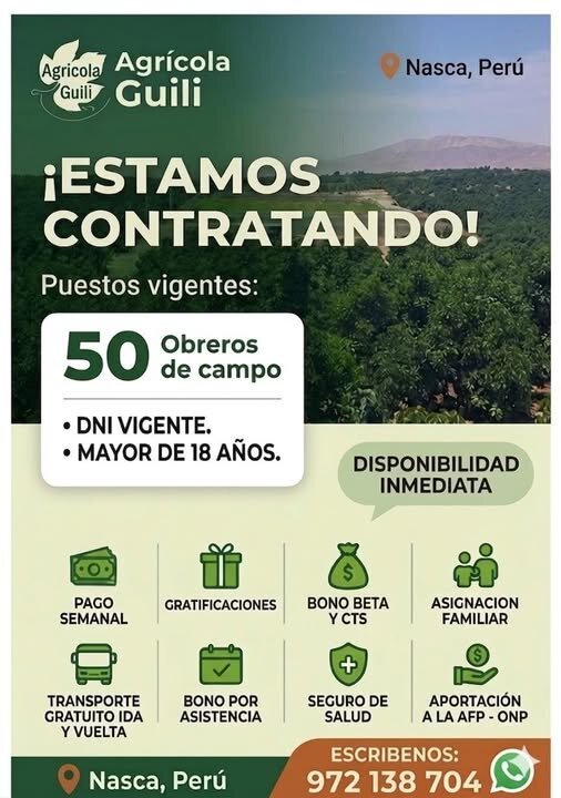 50 Obreros de Campo en Nazca