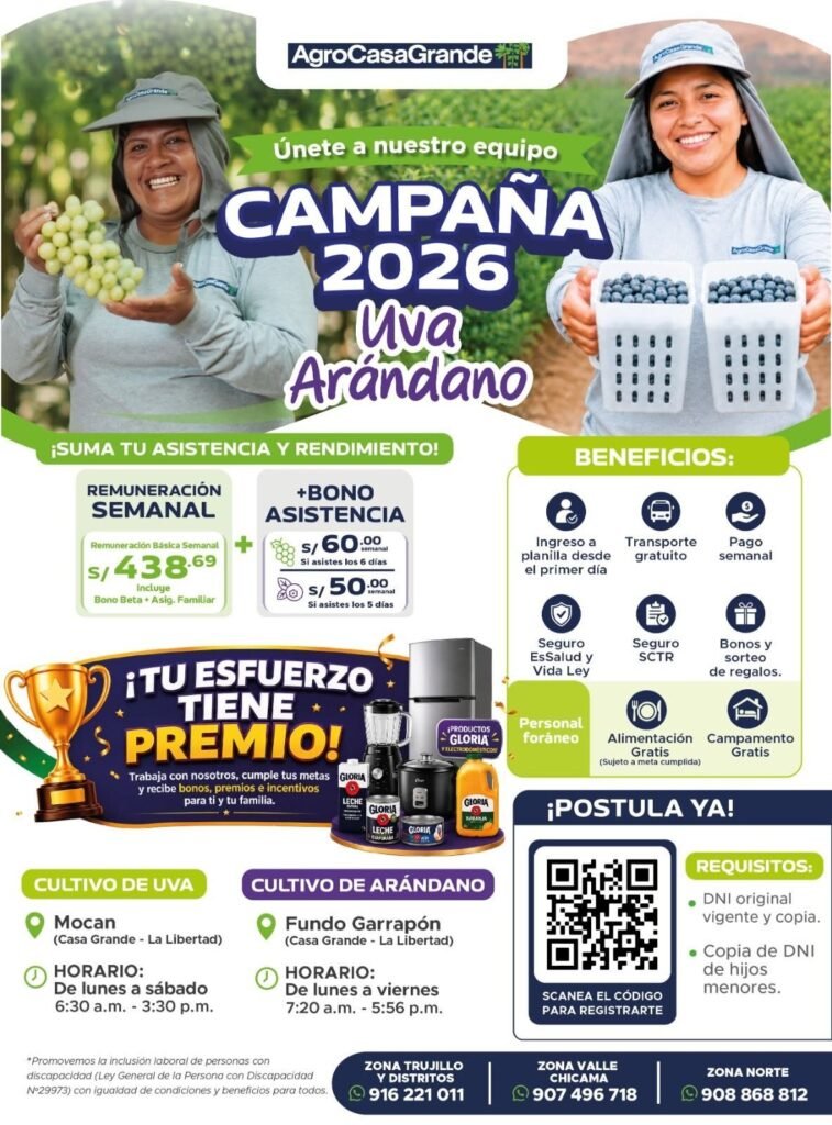 Campaña de uva y arándano en Agrocasagrande
