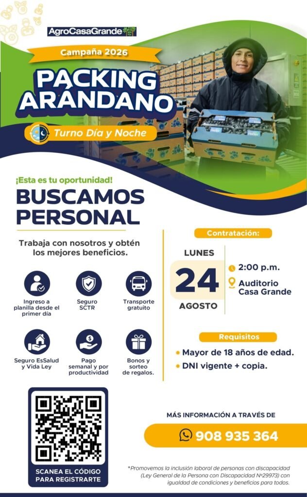 Packing de arandanos en Trujillo
