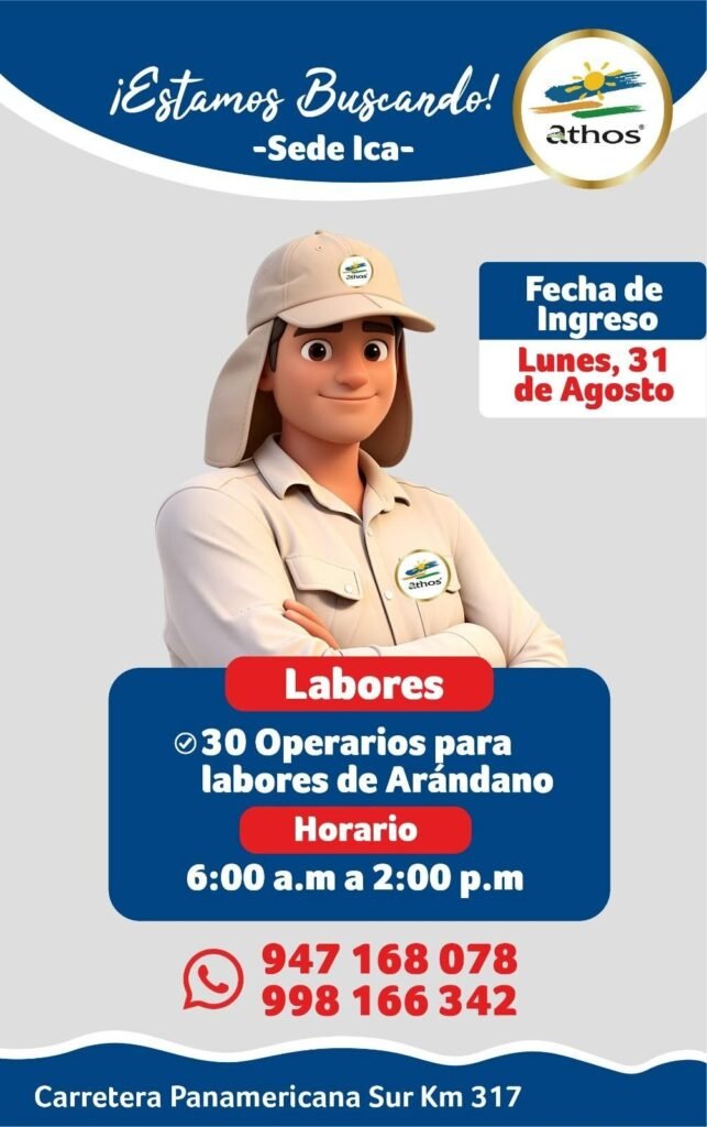 30 operarios para labores de arandano en Ica