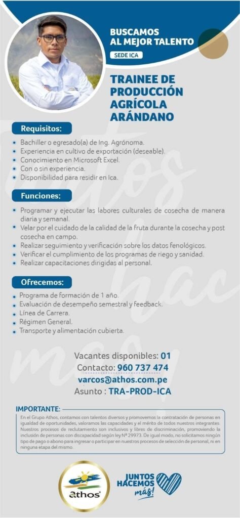 programa Trainee en Grupo Athos Ica - Imagen 2