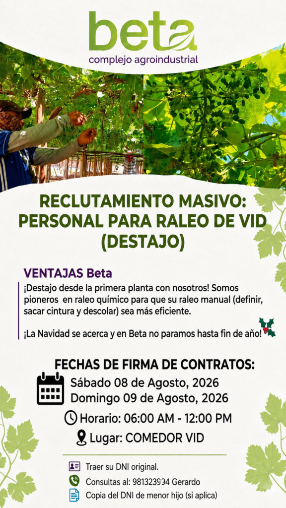 Reclutamiento masivo agricola en Beta para Campaña de raleo de Uva