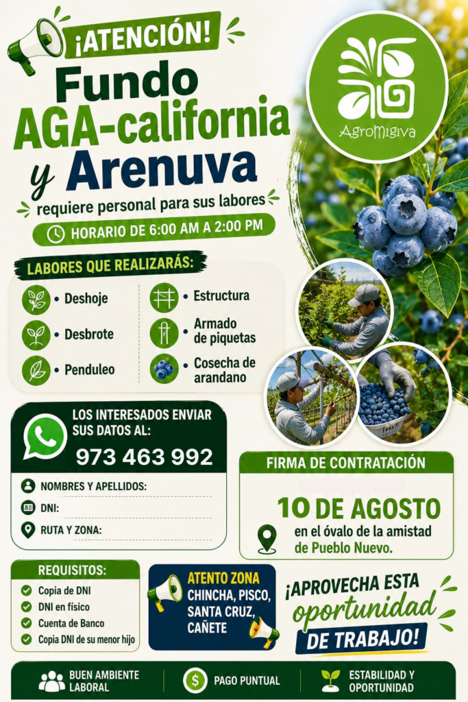 Se requiere personal ára fundo arenuva en AGA- PISCO - Imagen 2