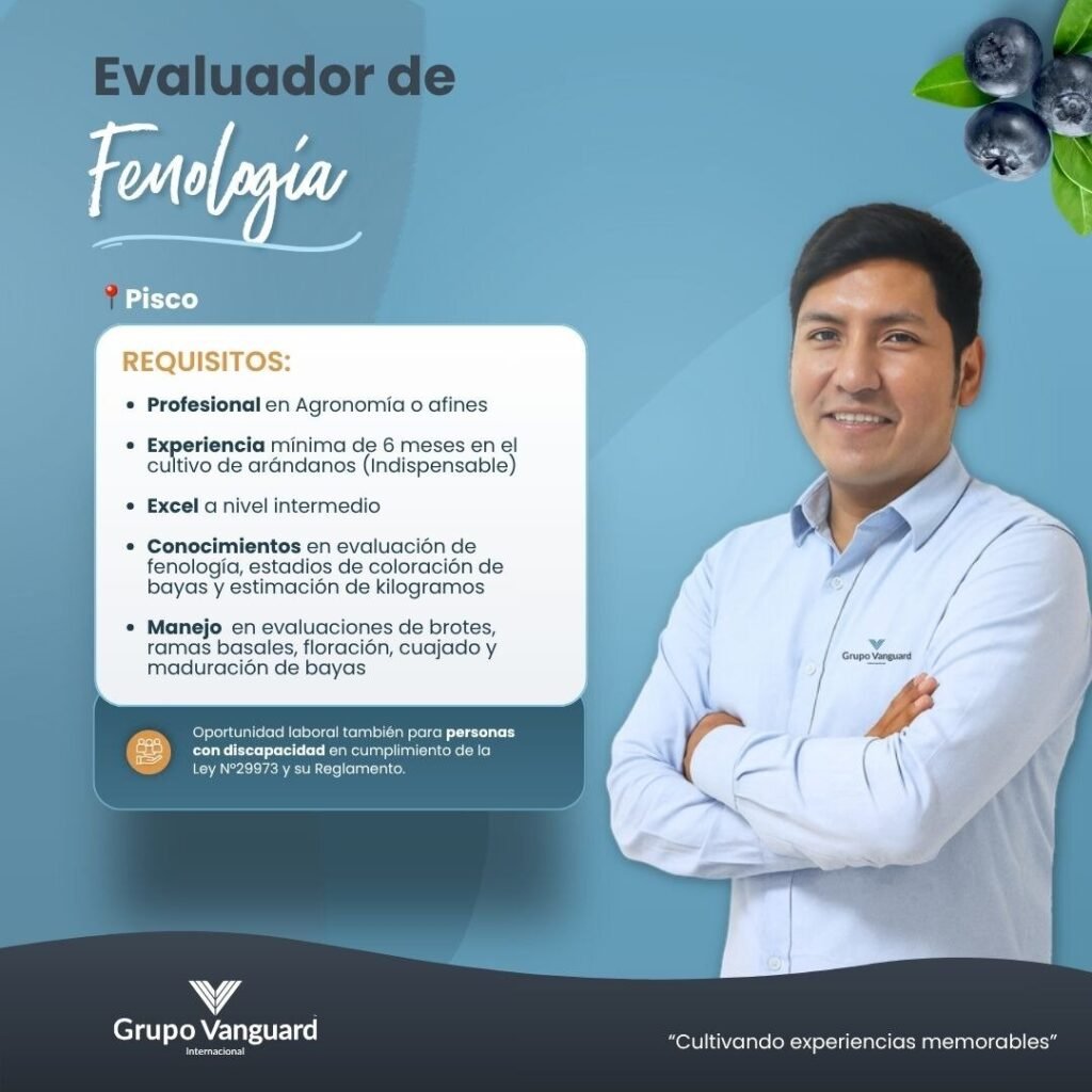 Nuevas oportunidades para Grupo Vanguard - Imagen 2