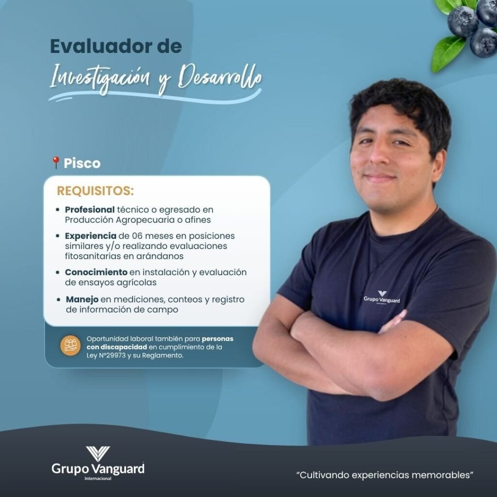 Nuevas oportunidades para Grupo Vanguard