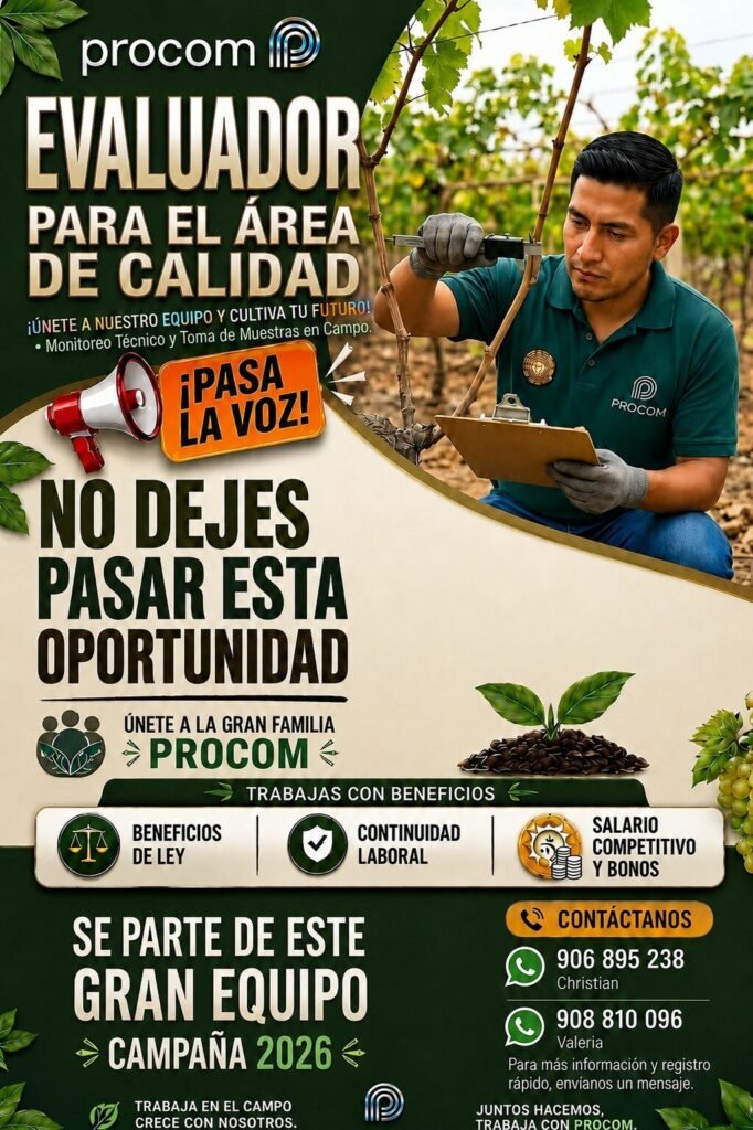 Agricola PROCOM busca Evaluadores de Calidad para su Campaña 2026 en Ica