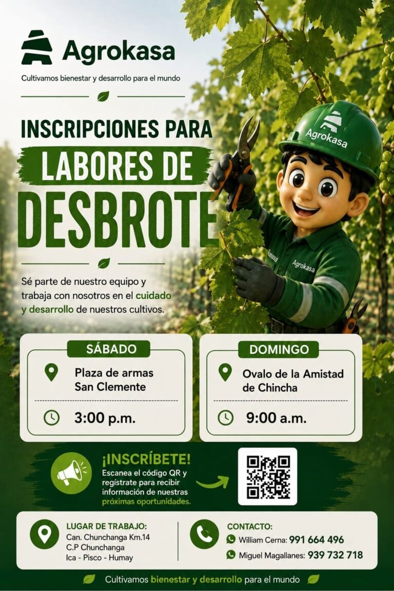 Labores de Desbrote en agrokasa