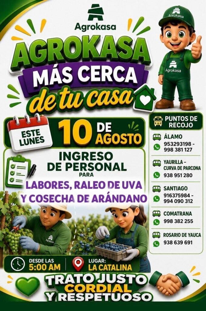 Agrokasa busca personal para raleo de uva y cosecha de arándano en La Catalina - Imagen 1