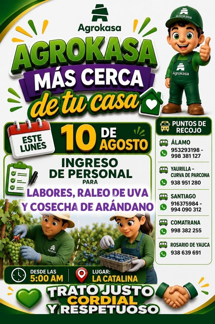 Agrokasa busca personal para raleo de uva y cosecha de arándano en La Catalina