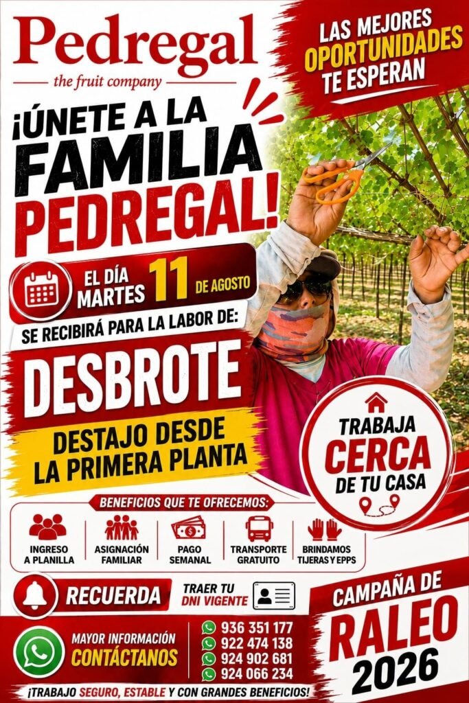 Trabajo en Pedregal Ica: Convocatoria para Desbrote