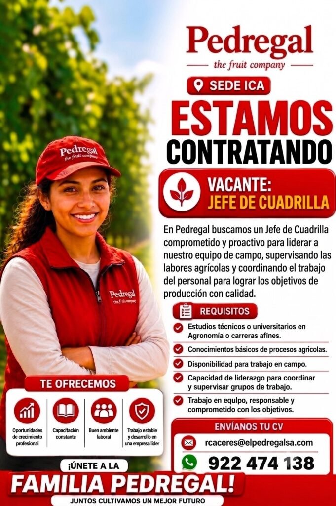 Nuevas oportunidades laborales en Pedregal Ica - Imagen 5