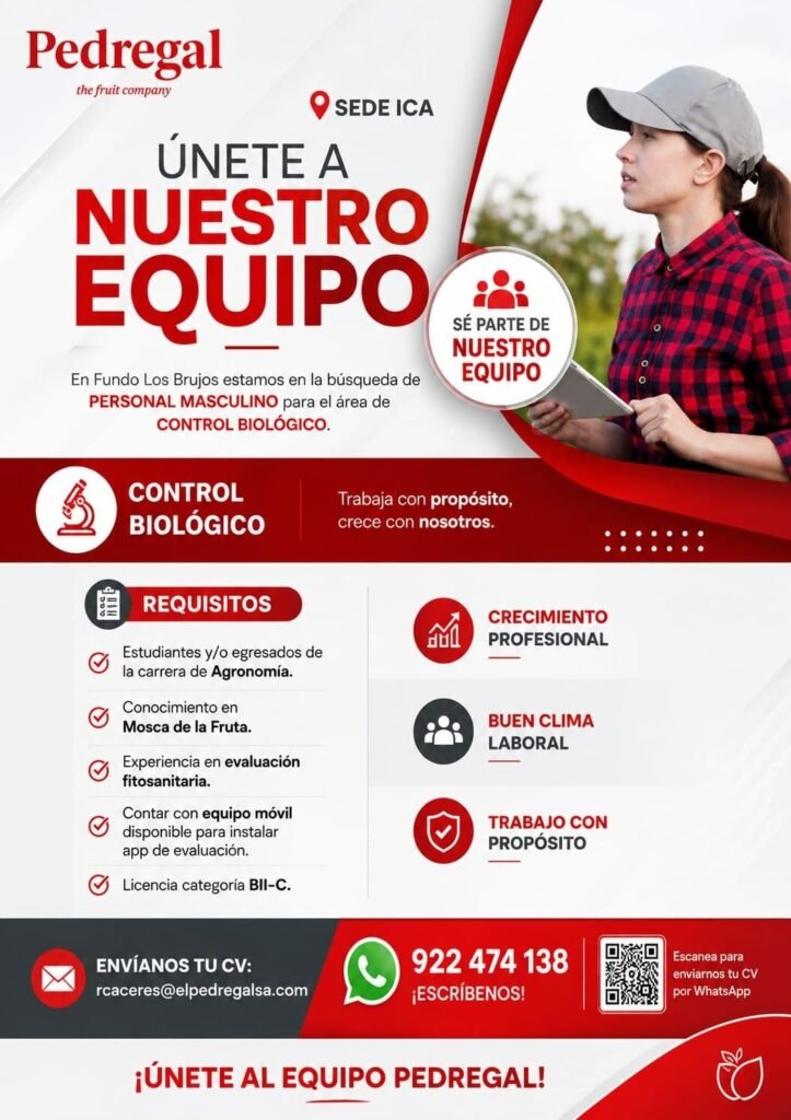 Nuevas oportunidades laborales en Pedregal Ica