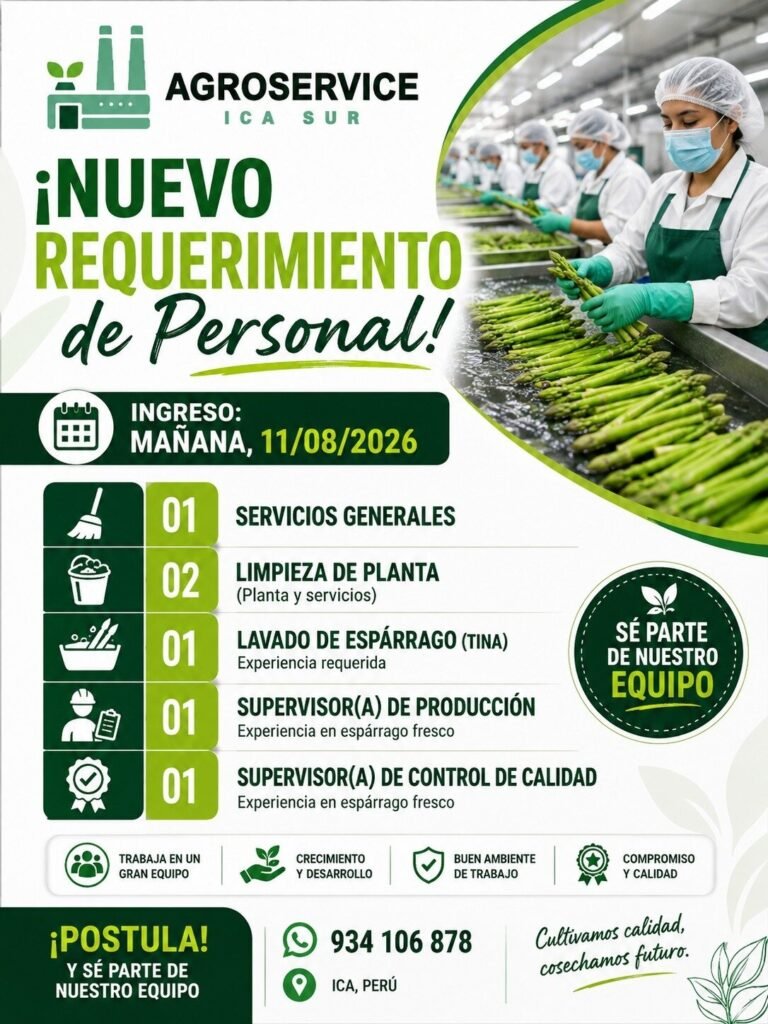 Agroservice busca personal para packing de espárragos en Ica
